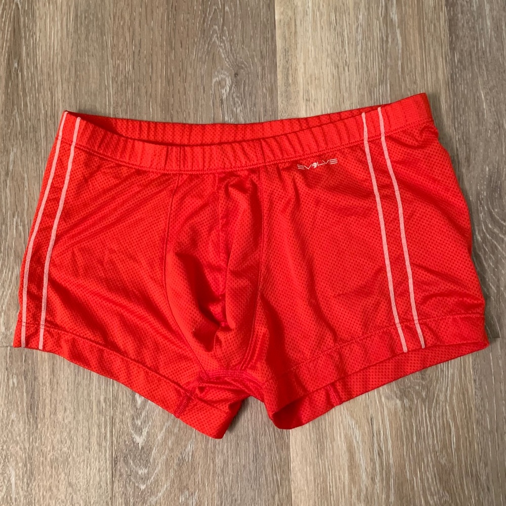 Evolve Briefs